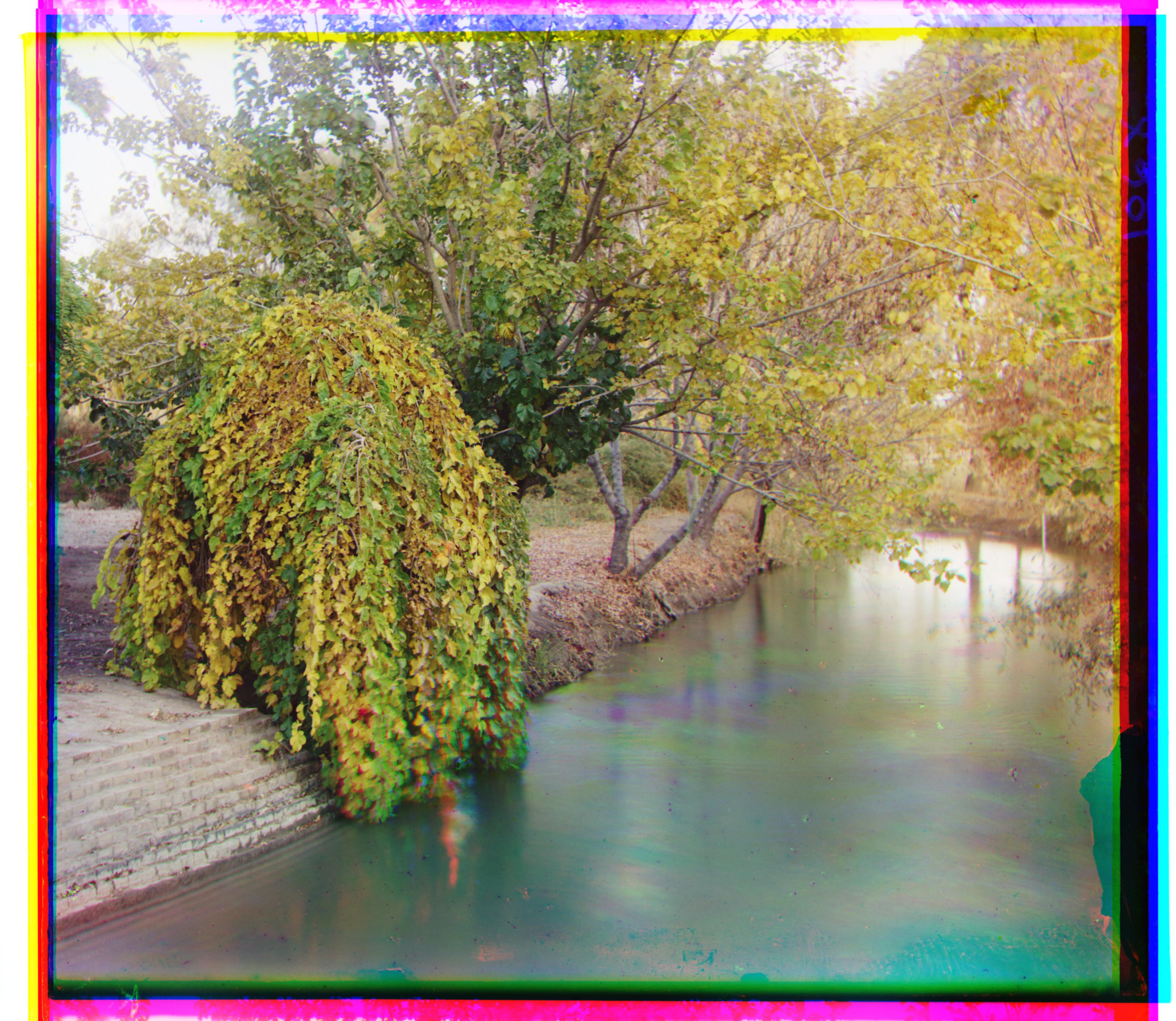 irrigation canal